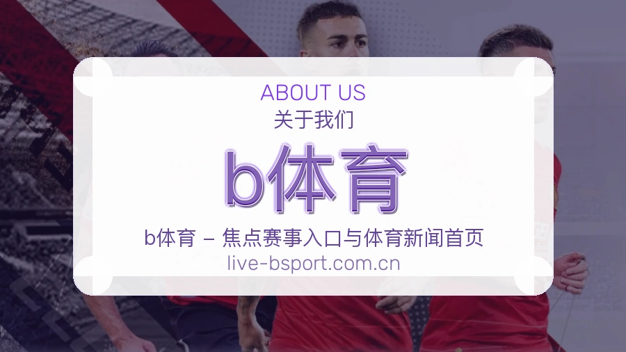 b体育关于平台服务